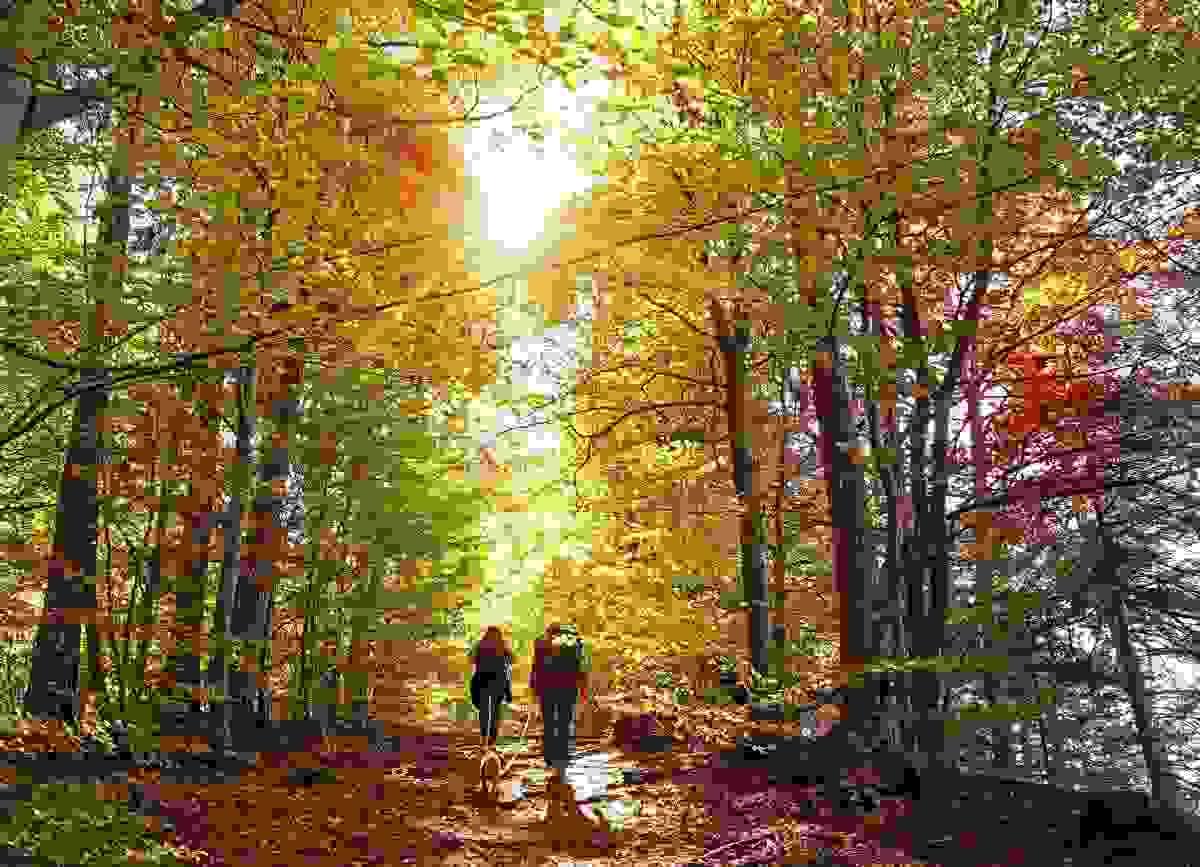 Wanderbares Oberberg